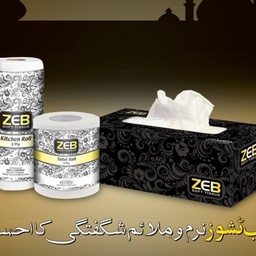 Zeb & Company
