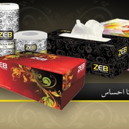 Zeb & Company