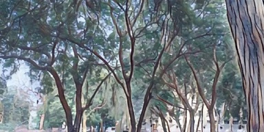 Chemistry Canteen