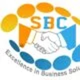 Synergy Business Consulting
