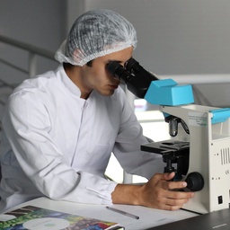 English Pharma
