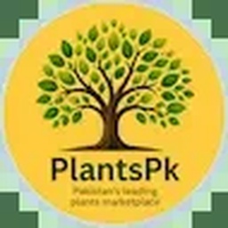 Rare Fruit Trees Shrubs Vines Perennials Plant Nursery