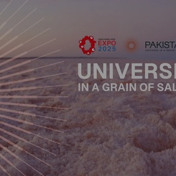 PEGASUS CONSULTANCY (PVT) LTD.