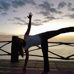 Sarah Q Yoga