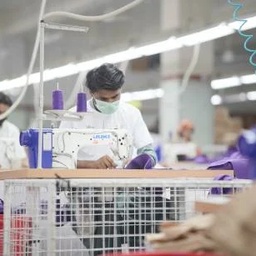 International Textile Ltd