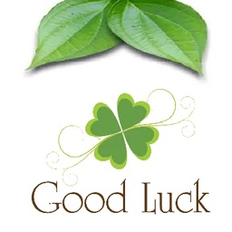 Good Luck Pan Chapli Kabab BB.Q & Fast Food Resturant