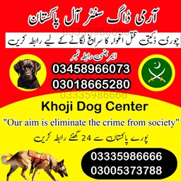 Army dog center Multan