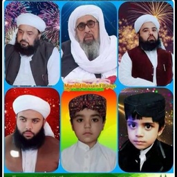 Al-Hussaini SMS SERVC