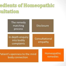 Homeopathic Consultation