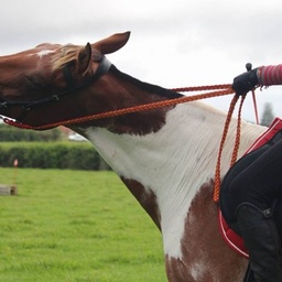 ADD MORE HORSE SADDLERY