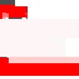 SECURE LOGISTICS SERVICES