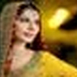 Shami Photos