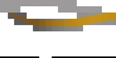 Alvi Transport Network