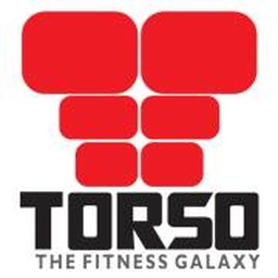 TORSO GYM