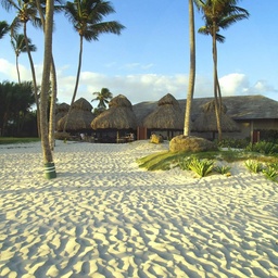 Huts & Cottages