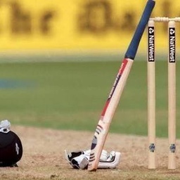 Cricket lovers