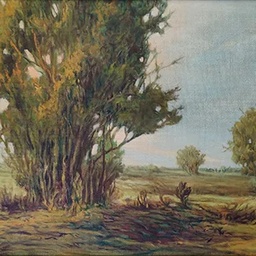 Hamail Art Galleries