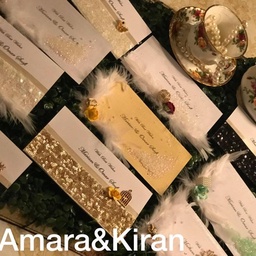Amara & Kiran