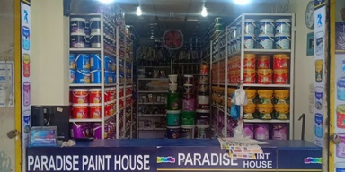Paradisepainthouse