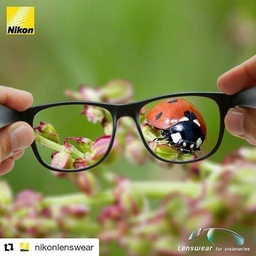 Central Optical