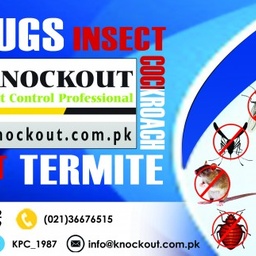 Knockout Pest Control Professional
