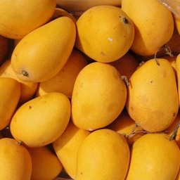 QDS Exporters