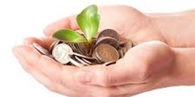 Primus Investment Management Limited