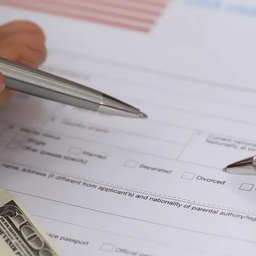 Immigration Consultants in Pakistan