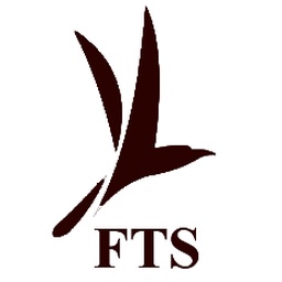 Fast Travel Services