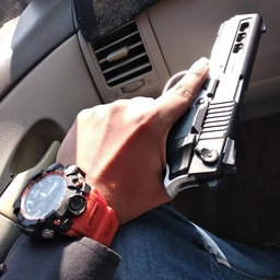 Guns Enthusiastic