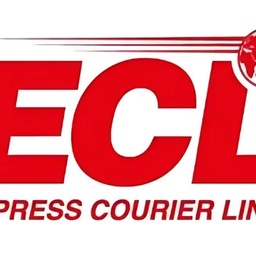 Express courier link