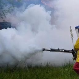 One Roof Fumigation Services