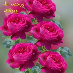 DR. AHMED BILAL