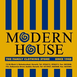Modern House