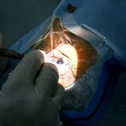 Ismat Eye Hospital