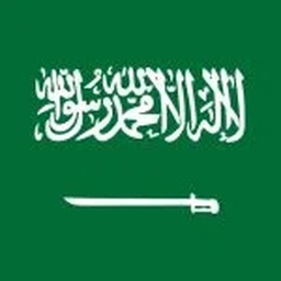 M.S International