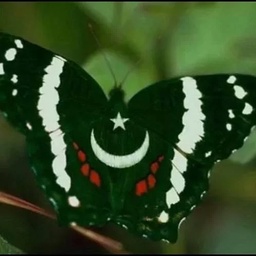 Most Beautiful Northern Areas of Pakistan