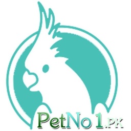 PetNo1.pk