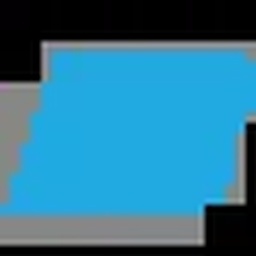 BURAQ SURGICAL CORPORATION
