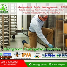 Evergreen Fumigation Service