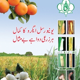 ZOTZ Print Solutions