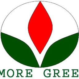 MORE GREEN