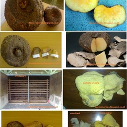 Sumber Abadi