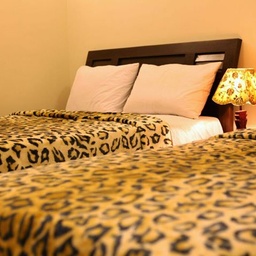 Elegant Palace Guest House karachi