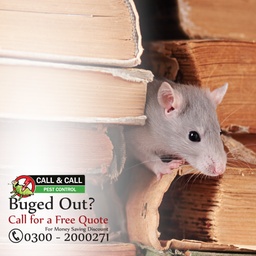 Call & Call Pest Control