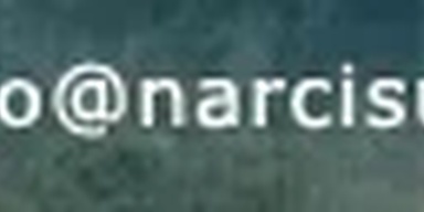 Narcisus Enterprises