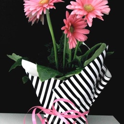 Flowers & Plants