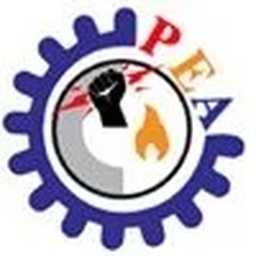 Pak Engineering and Automation