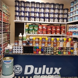 Ghazi Paint house