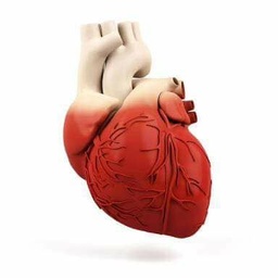 Current Medical Diagnosis & Treatment